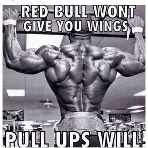 bodybuilding meme guy|bodybuilding inspirational memes.